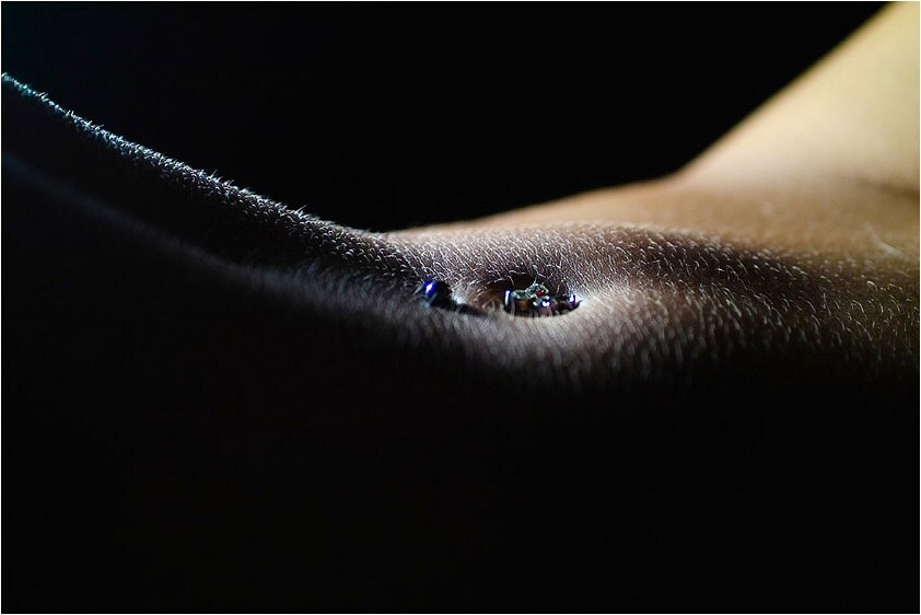 842x562, 62 Kb / пирсинг, пупок