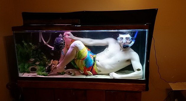 630x343, 50 Kb / аквариум, маска, трубка, дебил