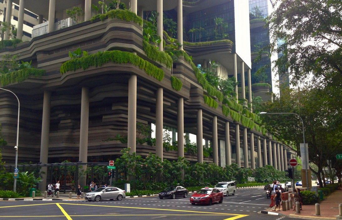 1098x707, 210 Kb / отель, Сингапур, зелень