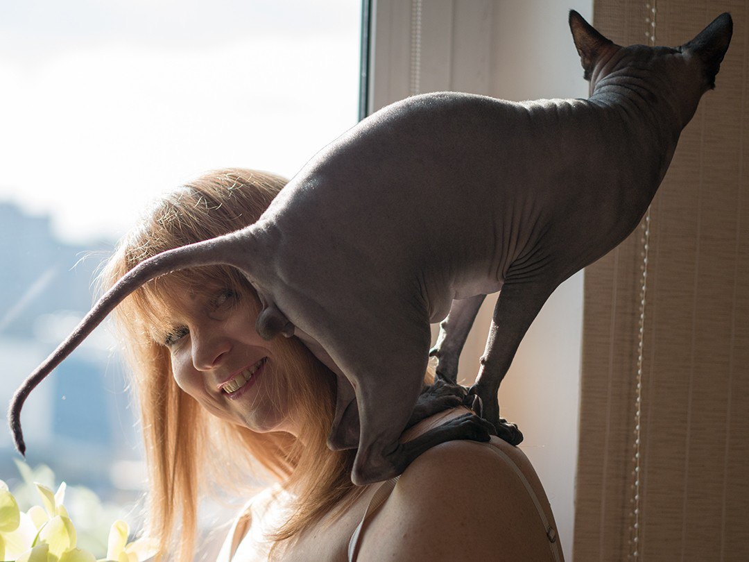 1080x810, 126 Kb / женщина, окно, кот, яйца