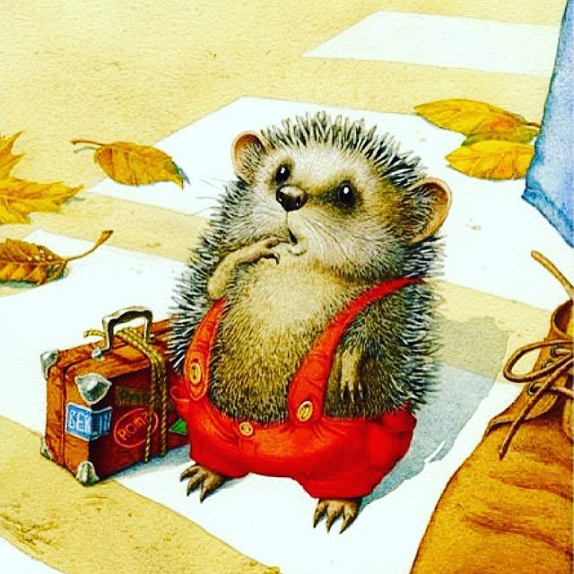 640x640, 107 Kb / ёжик, чемодан, штанишки