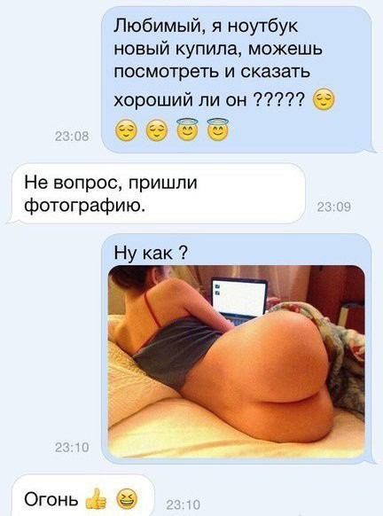 432x582, 66 Kb / Жопа, ноутбук, переписка