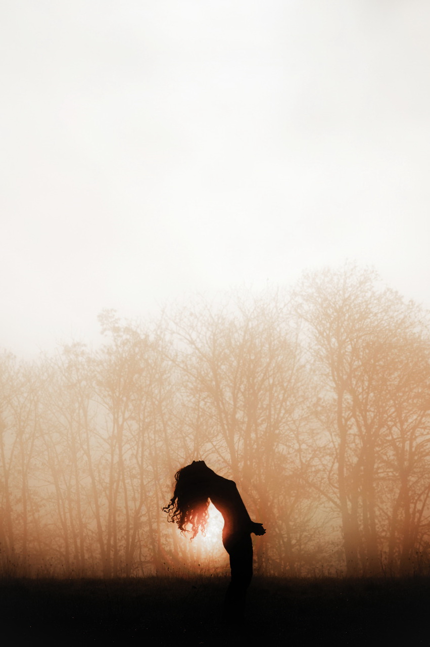 851x1280, 180 Kb / лес, деревья, закат, силуэт, туман