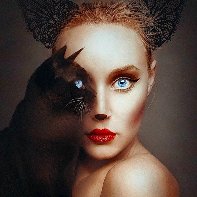 640x640, 76 Kb / котэ, баба