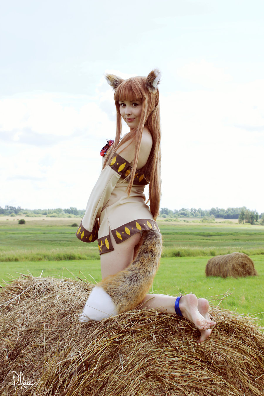 900x1350, 312 Kb / лиса, хвост, рыжая, сено, луг, тюк, Хоро, Spice, Wolf