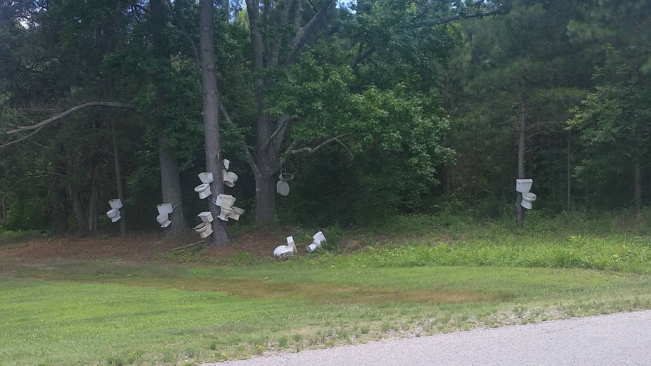 1280x720, 342 Kb / лес, опушка, унитазы