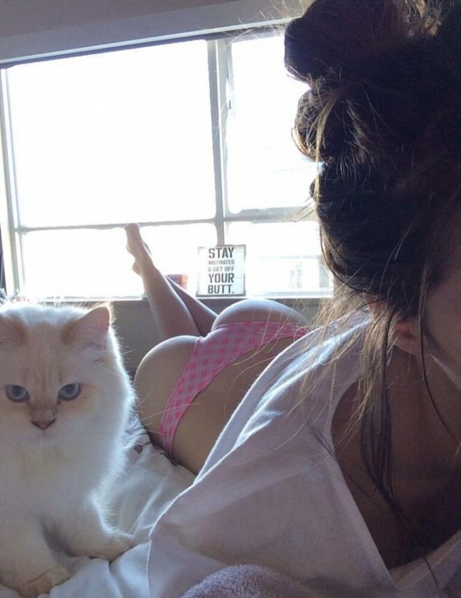 650x842, 125 Kb / кот, попа, трусики, окно