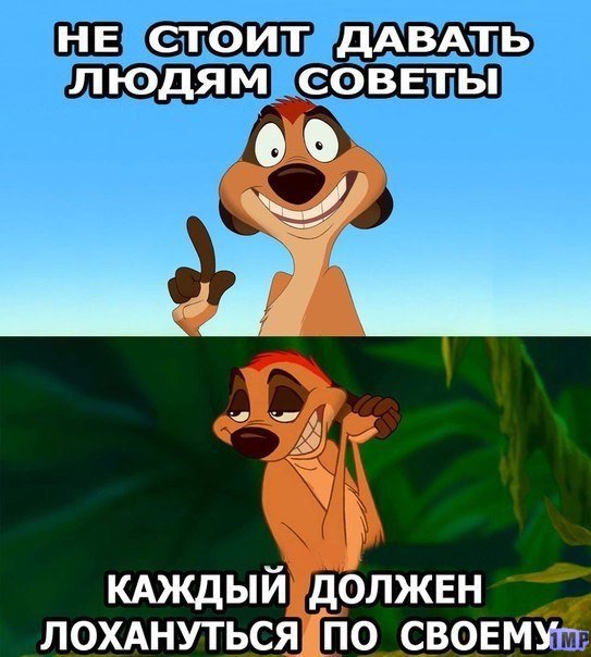 543x604, 86 Kb / Совет, лох, сурикат