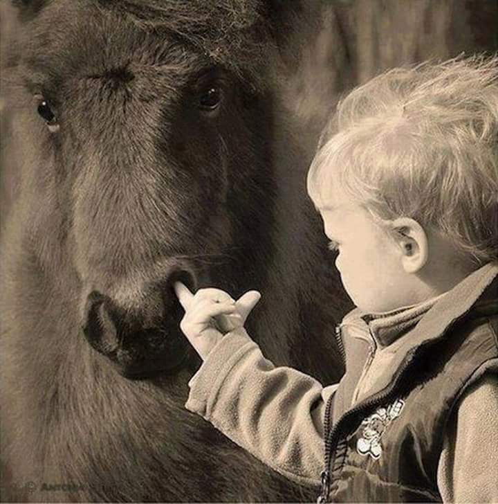 720x728, 66 Kb / ноздря, палец