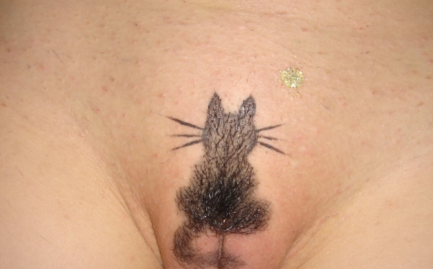 630x392, 172 Kb / лобок, котэ, тату, стрижка