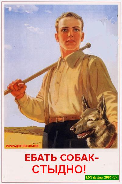 400x605, 94 Kb / плакат, собака, стыдно, ебать