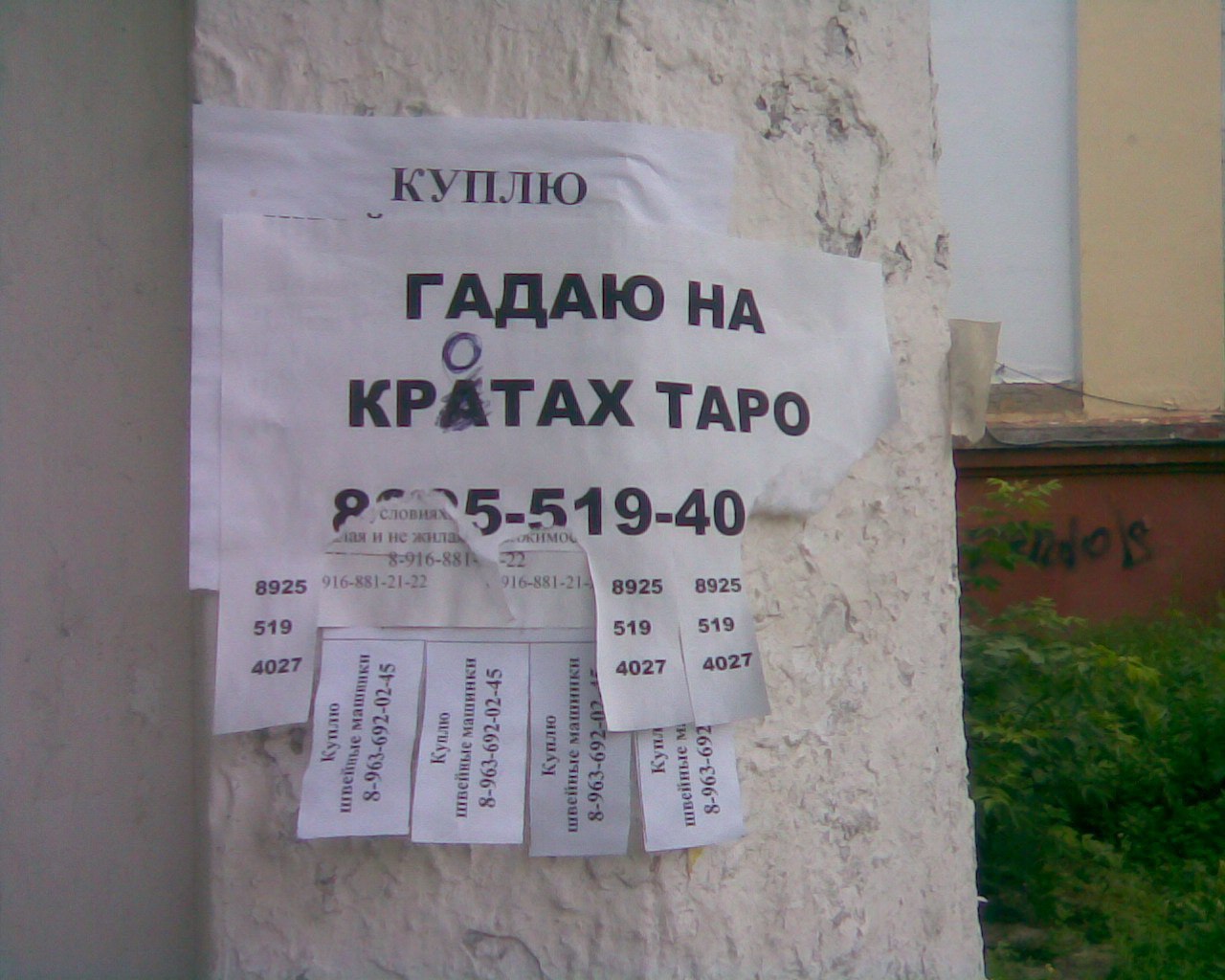 1280x1024, 194 Kb / таро, объявление, крот