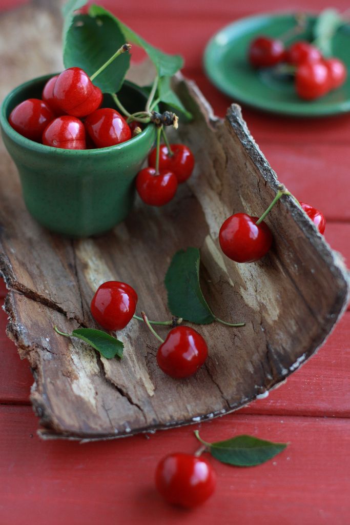 683x1024, 85 Kb / вишни, вишня, кора