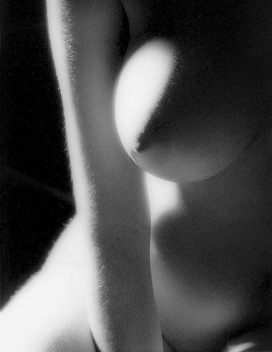 546x707, 54 Kb / ч/б, сиськи, рука, шерсть, тень, свет, пушок