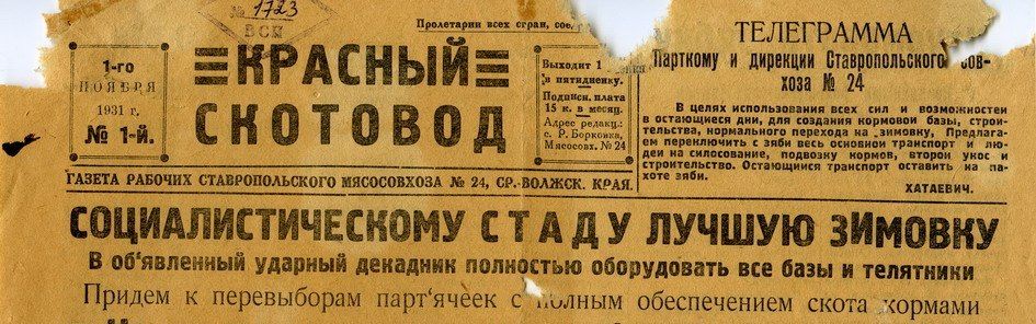 945x296, 102 Kb / стадо, зимовка, красный, скотовод, вырезка