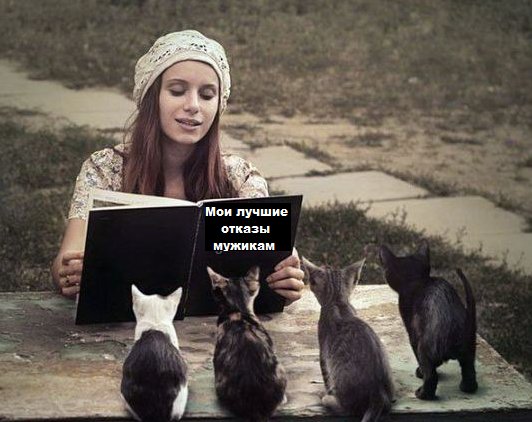 532x422, 47 Kb / книга, отказы, кошки, девушка