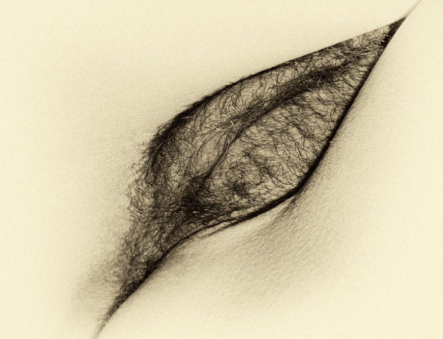 900x688, 126 Kb / вагина, волосы, мохнатка