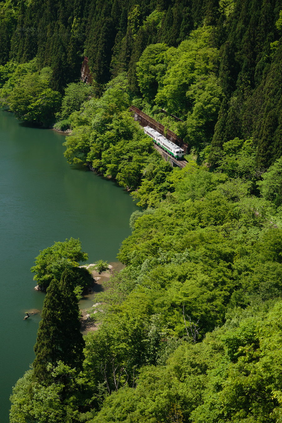 900x1350, 392 Kb / поезд, зелень, железка, озеро, горы