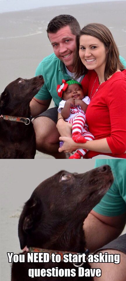 432x960, 63 Kb / негритенок, ребенок, пара, измена, собака, вопросы