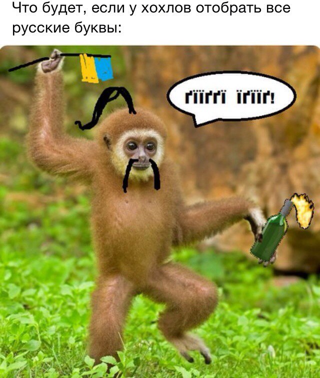 640x756, 100 Kb / хохлы, обезьяна, алфавит, политота