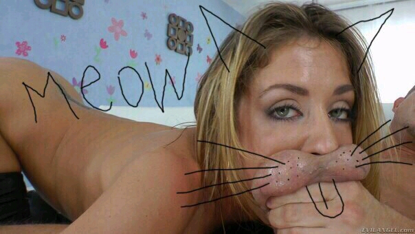 604x340, 147 Kb / ушки, усики, мяу