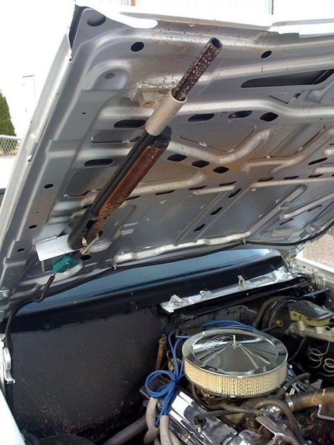 480x640, 119 Kb / капот, обрез