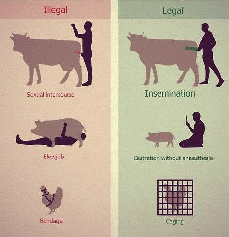 468x483, 51 Kb / зоофилия, зоотехника, нелегально, легально
