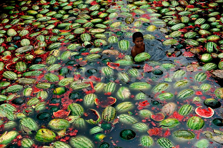 860x572, 387 Kb / арбузы, ребенок, вода