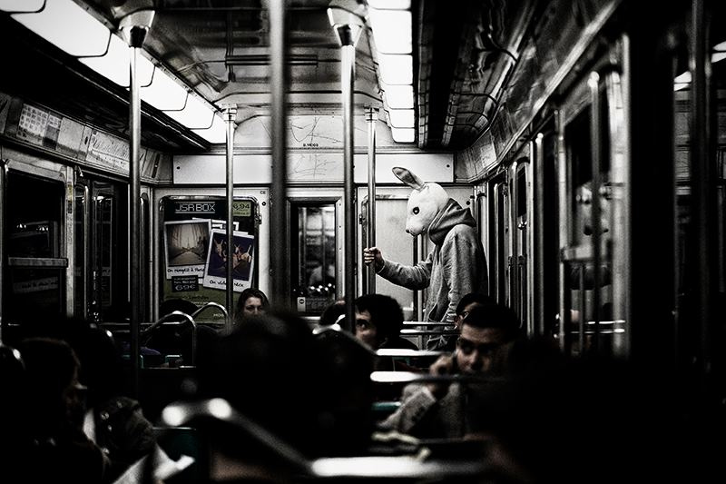 800x533, 119 Kb / заяц, маска, метро