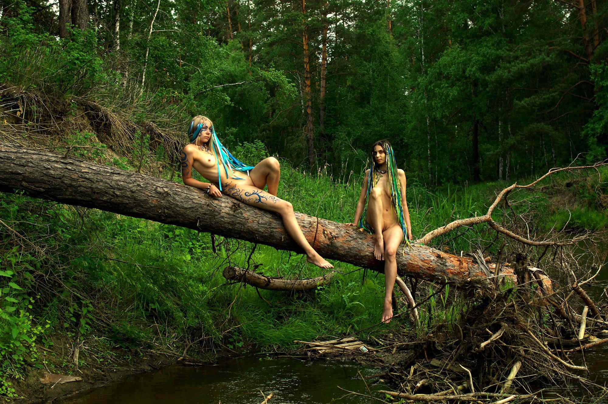 2000x1328, 382 Kb / две,бревно,лес,вода