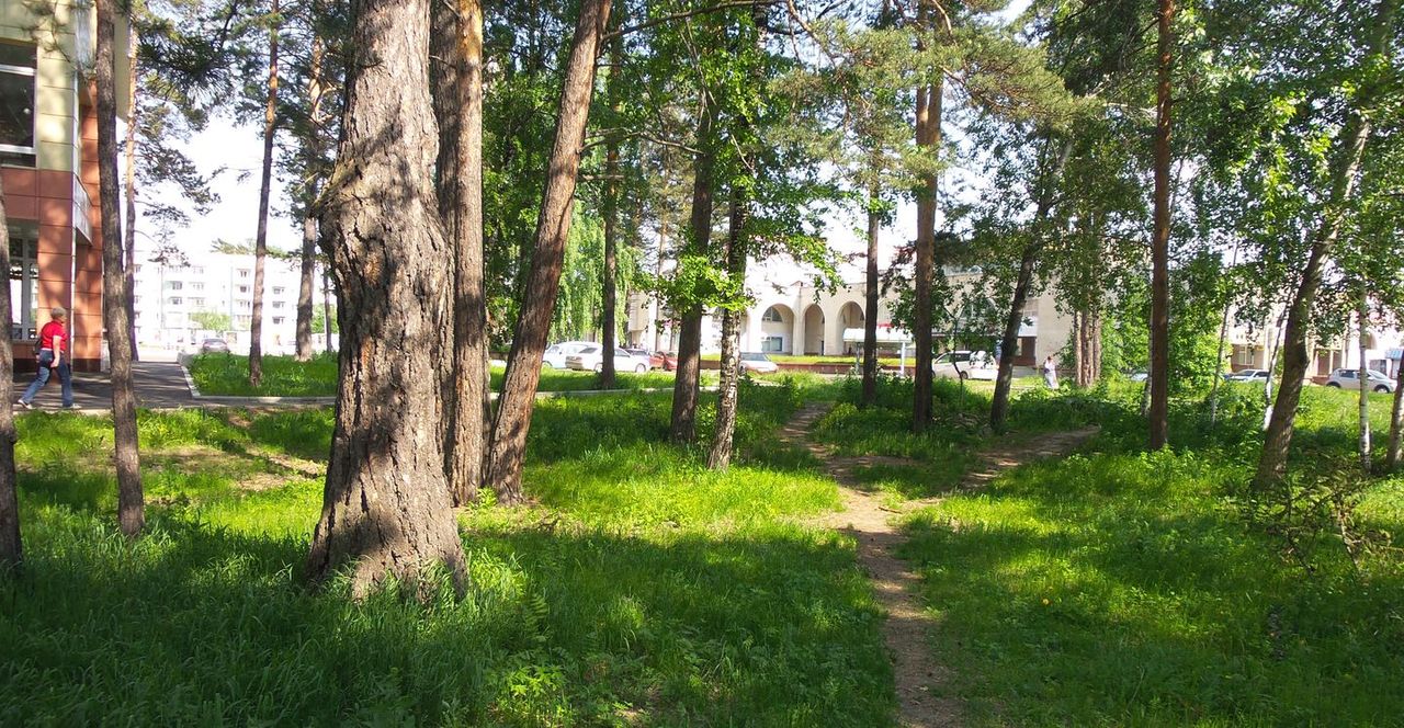 1280x664, 326 Kb / трава, тропинка, сосны, дома