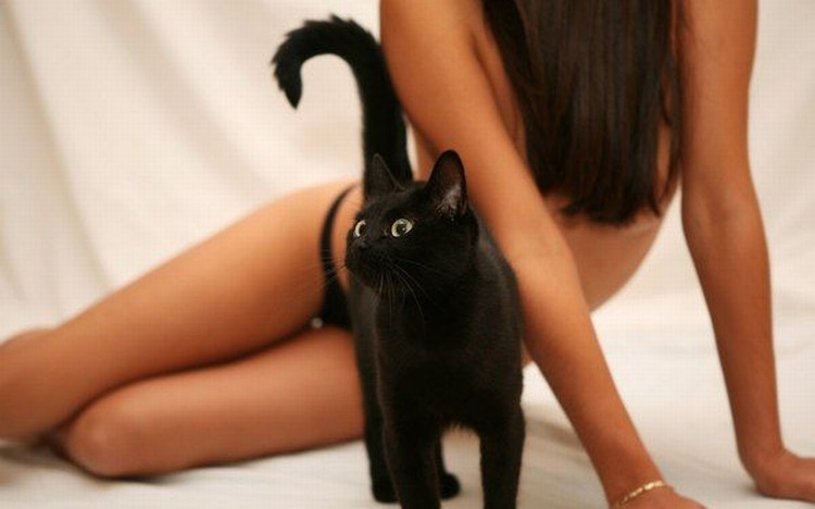 750x468, 146 Kb / баба, котэ, волосы