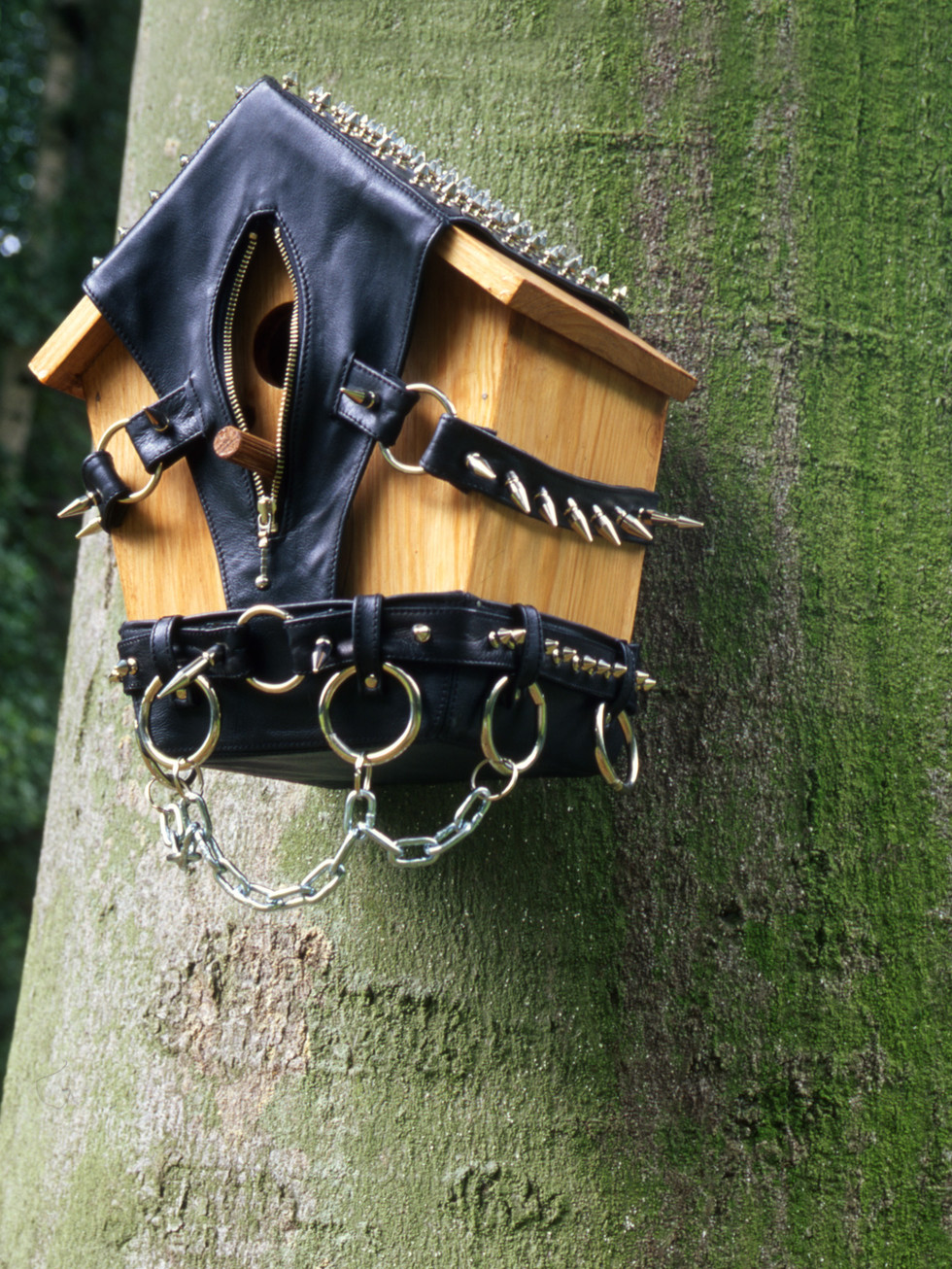 980x1306, 510 Kb / скворечник, БДСМ