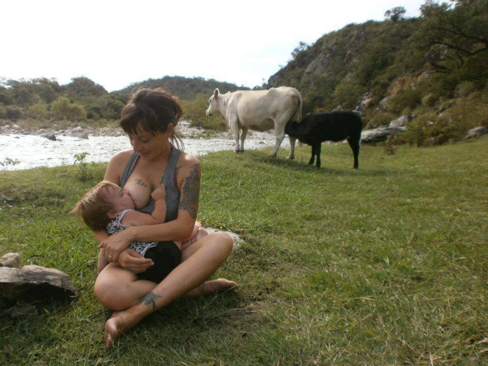 960x720, 106 Kb / кормилицы, грудь, ребенок, река, телка, теленок, кормление