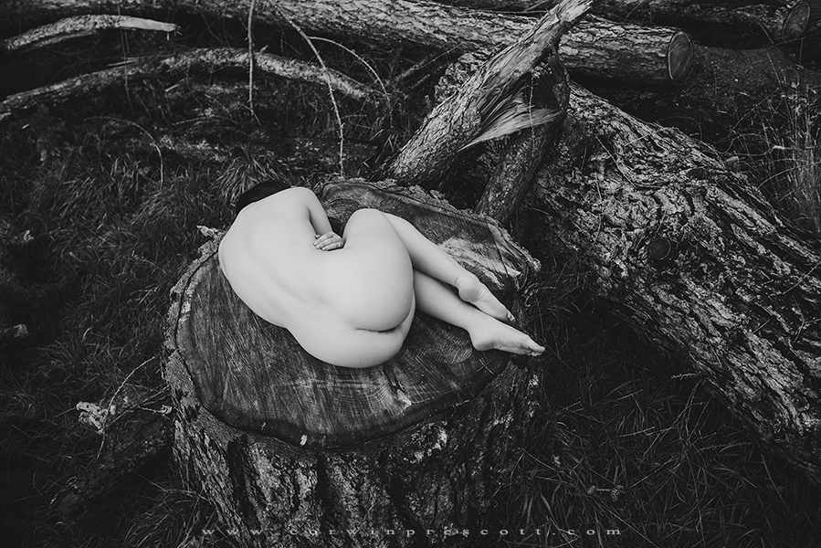 899x600, 394 Kb / голая, ч/б, пень