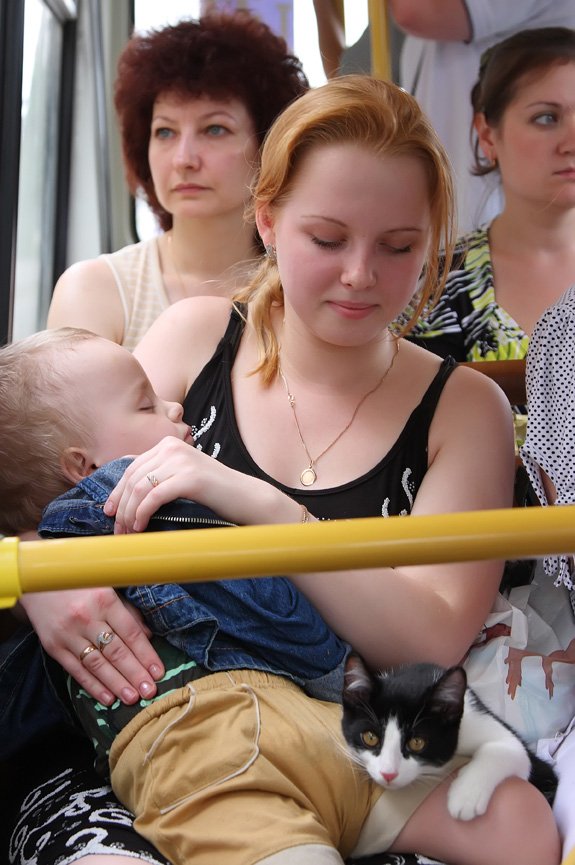 575x865, 107 Kb / рыжая, ребёнок, кот