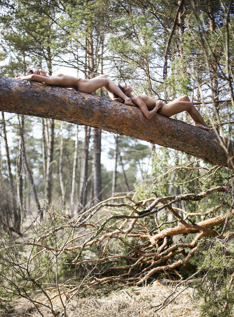 750x1016, 397 Kb / девушки, голые, лес, сосна