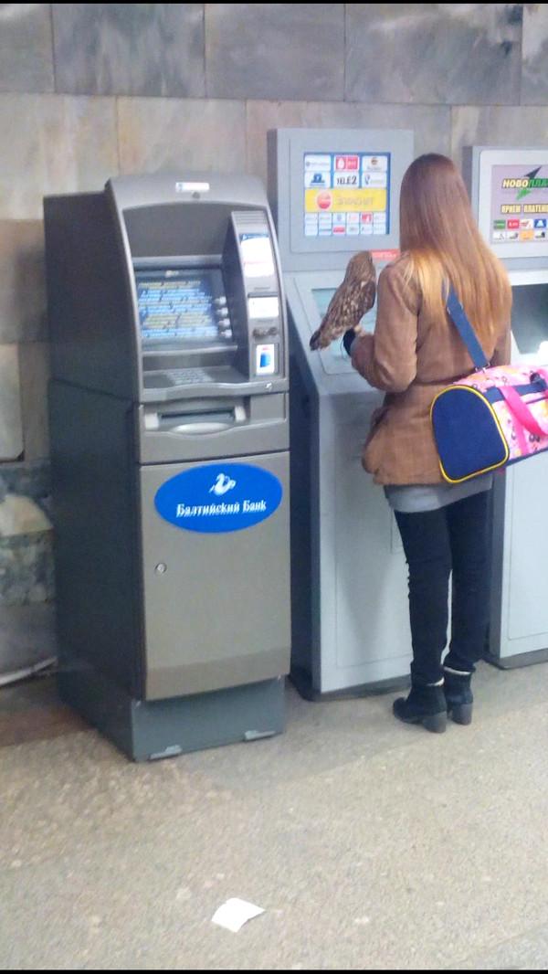 600x1066, 158 Kb / банкомат, терминал, девушка, сокол, сова, птица