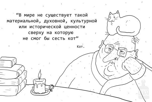 604x403, 47 Kb / Кот, ценности