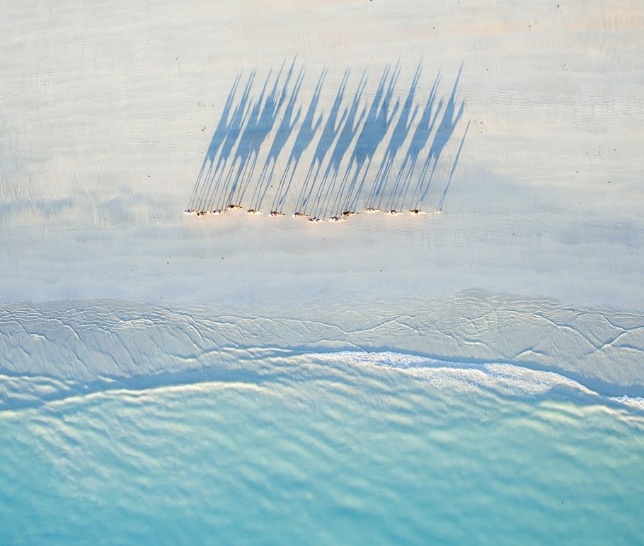 910x772, 110 Kb / пустыня, караван, верблюды, берег, тень