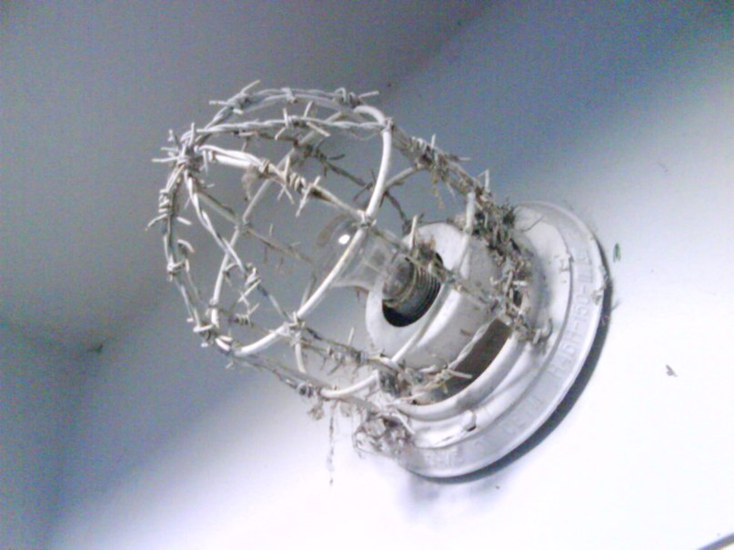 807x605, 69 Kb / лампочка, колючая проволока