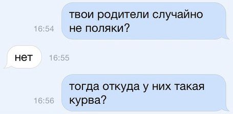 455x223, 14 Kb / родители, поляки, курва