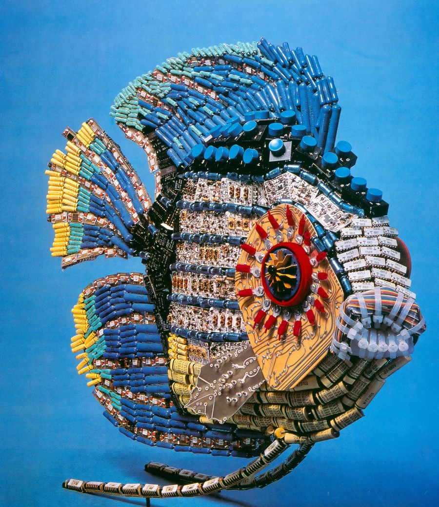 900x1039, 371 Kb / рыба, запчасти