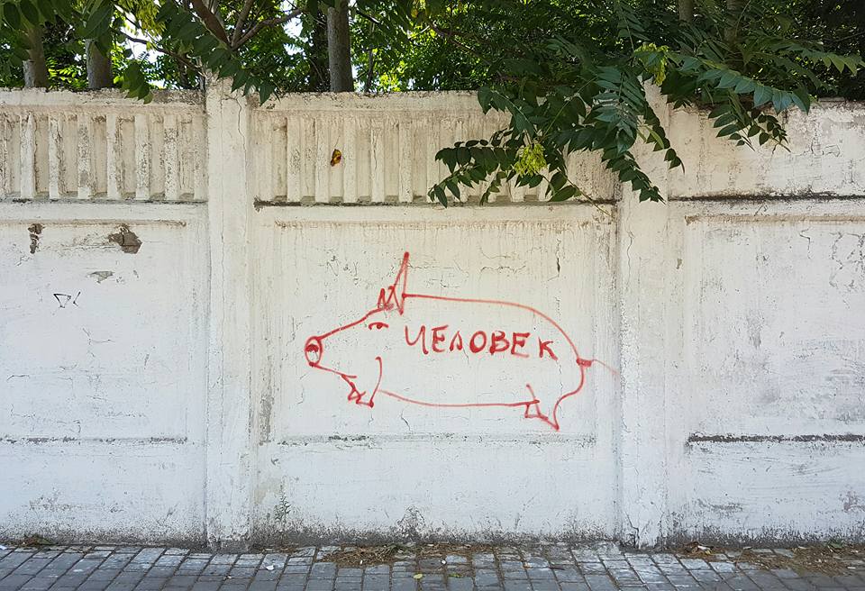 960x656, 124 Kb / человек, свинья