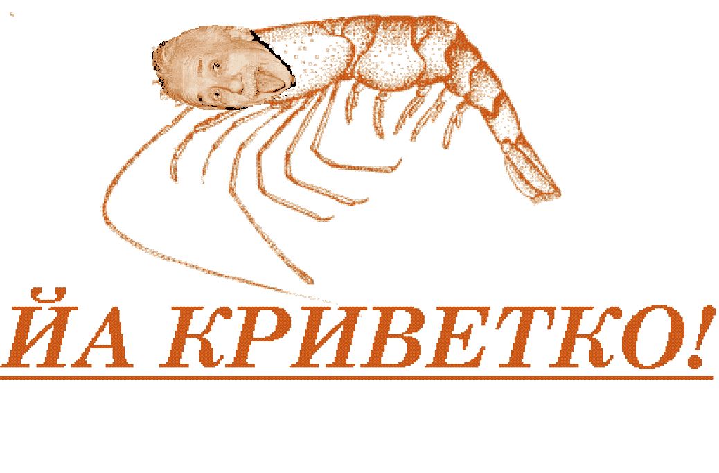 1038x683, 81 Kb / криветко, криветка, креветка