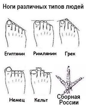 287x355, 26 Kb / ноги, тип