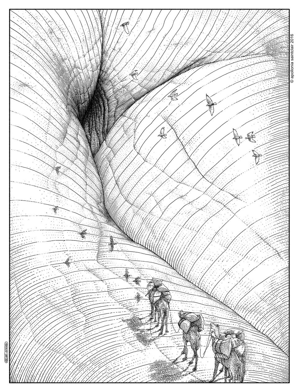 960x1262, 395 Kb / караван, пустыня, птицы, скетч, ч/б