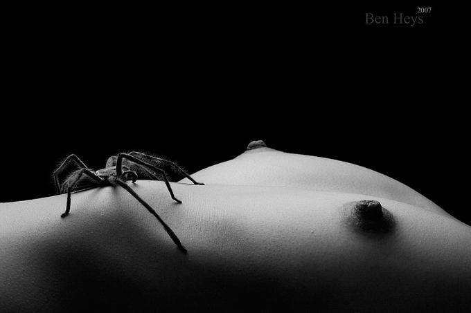 680x453, 18 Kb / паучёг