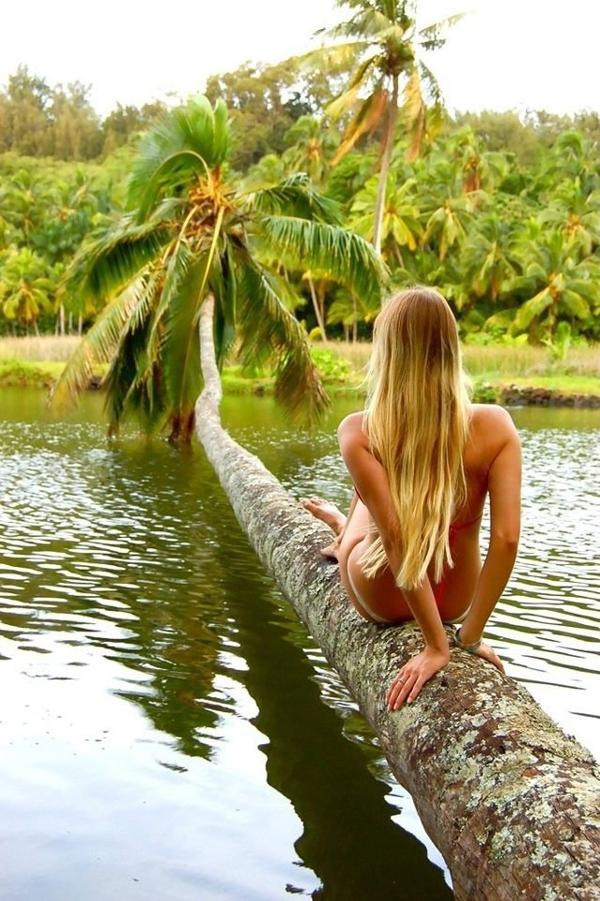 600x901, 104 Kb / пальма, вода, блондинка