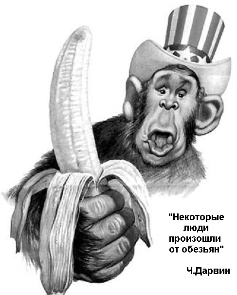 487x604, 54 Kb / люди, обезьяны, дарвин, буш